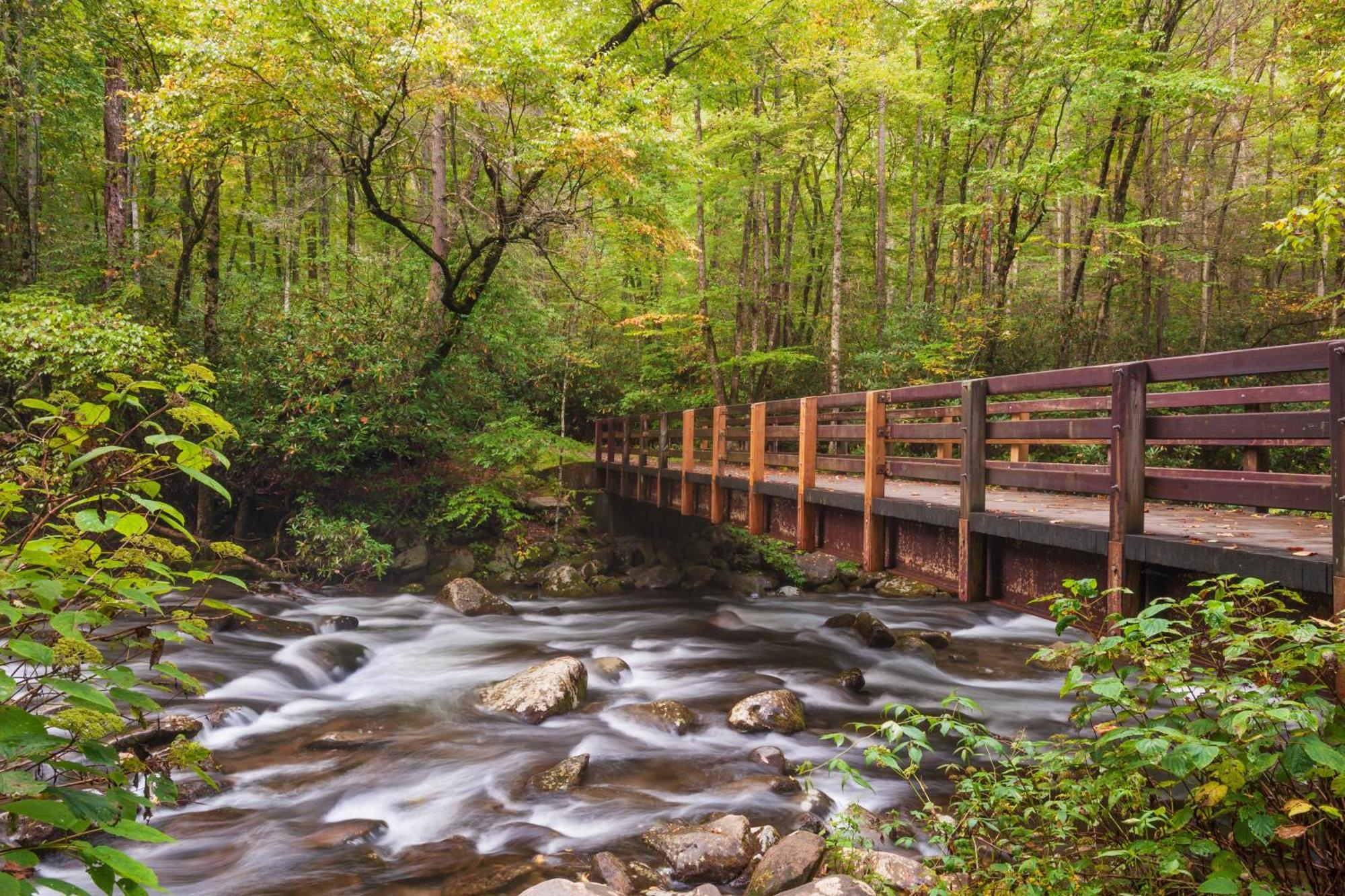 Smoky Bear Lodge With Guest House, Hot Tub, 1089 Free Tickets Each Paid Day, Dollywood And More Sevierville Dış mekan fotoğraf
