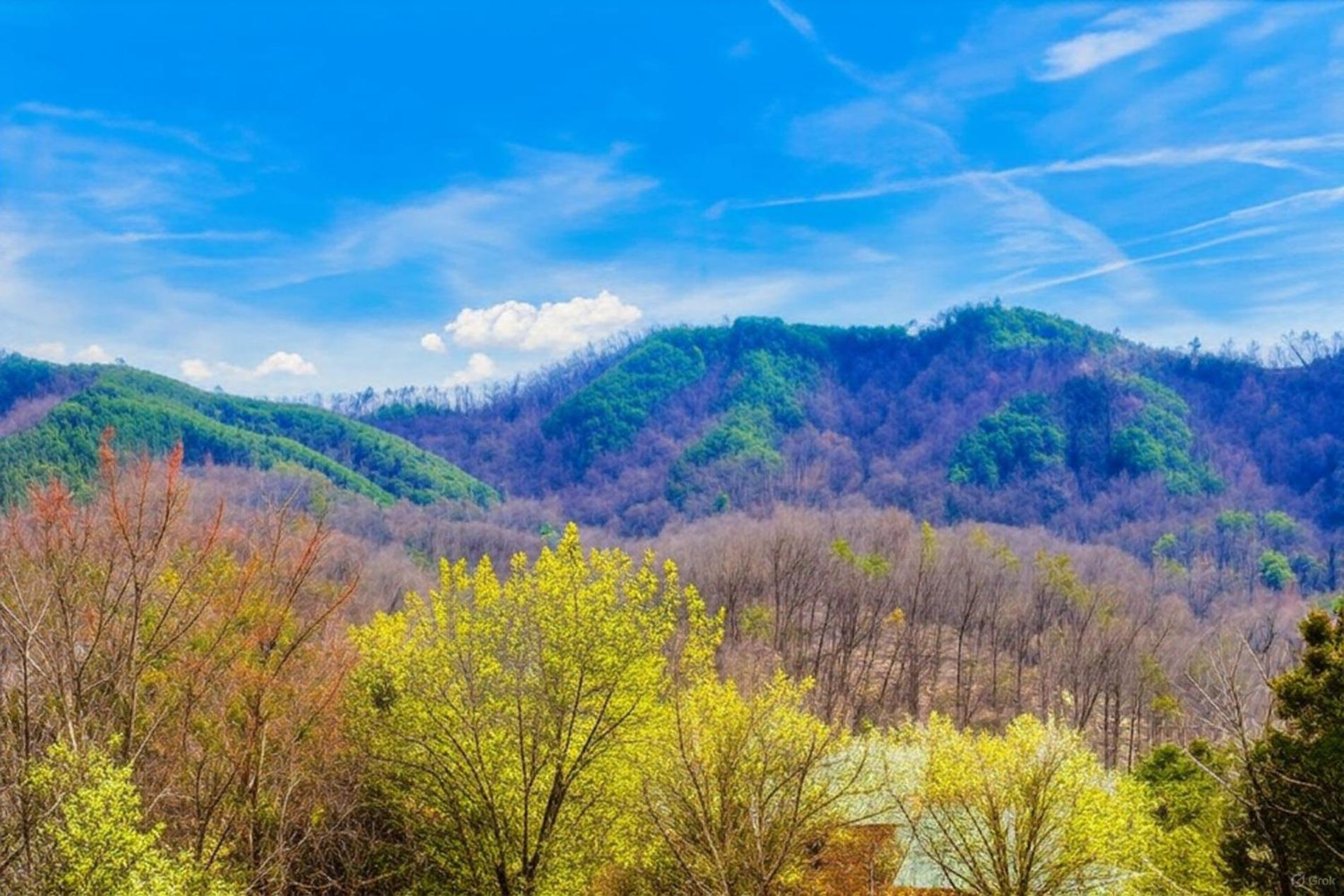 Smoky Bear Lodge With Guest House, Hot Tub, 1089 Free Tickets Each Paid Day, Dollywood And More Sevierville Dış mekan fotoğraf