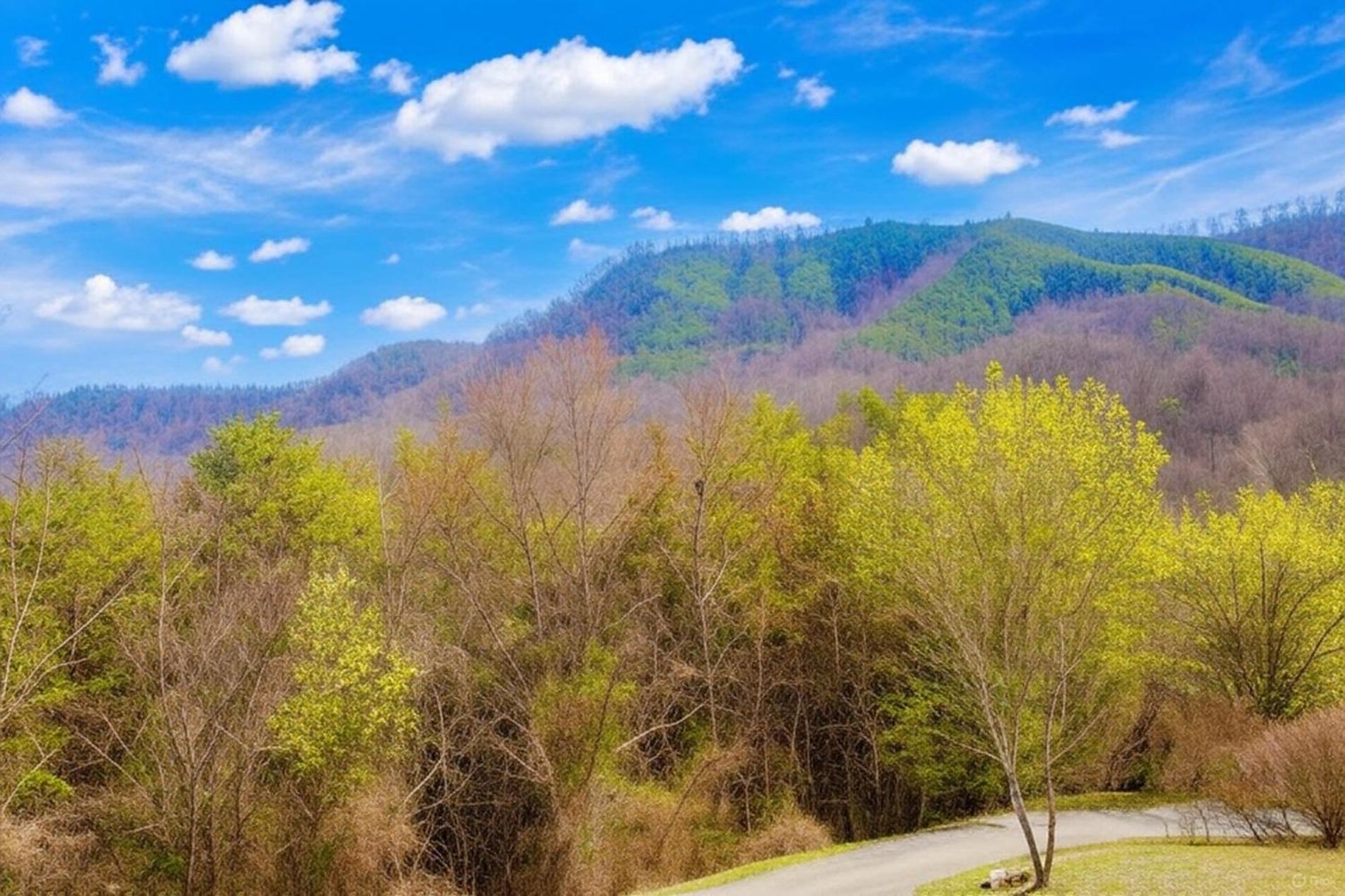 Smoky Bear Lodge With Guest House, Hot Tub, 1089 Free Tickets Each Paid Day, Dollywood And More Sevierville Dış mekan fotoğraf